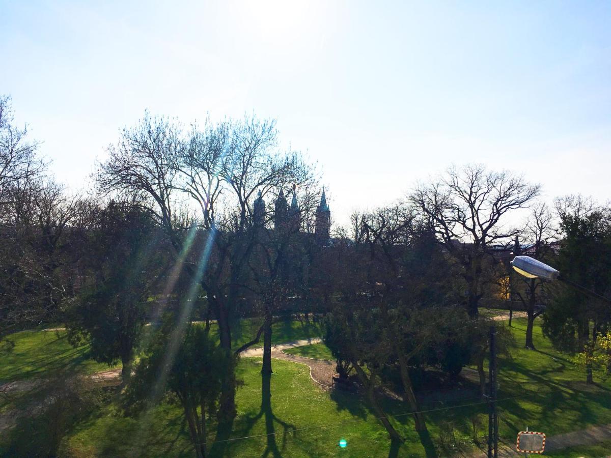 Apartments Am Park Наумбург Экстерьер фото